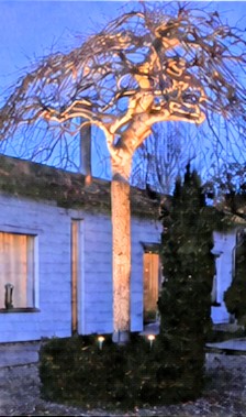 Konstsmide Monza LED Garden Spot Light Set 2 x 3W IP44 12V Outdoor Landscape Tree Lights